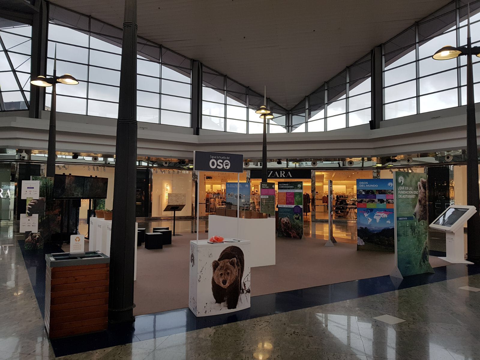 Unas 30.000 personas visitan la exposición 'Sigue la huella del oso' en intu Asturias